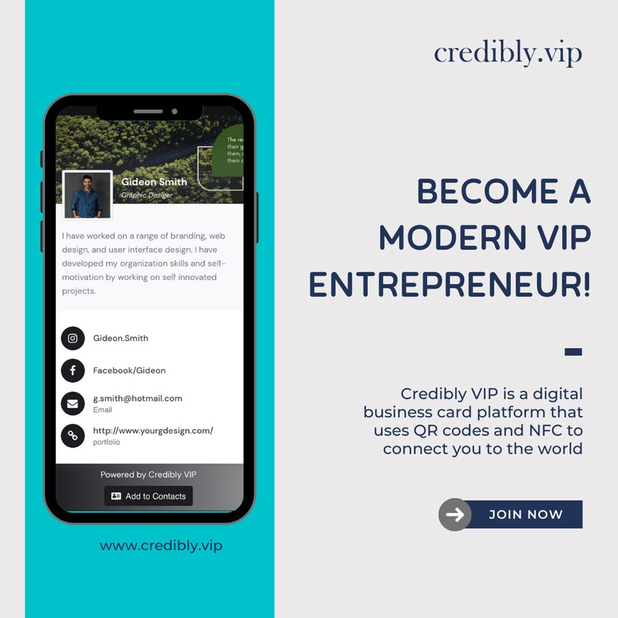 become a modern vip entrepreneur